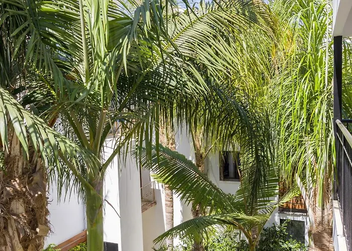 Alecos Апарт-отель