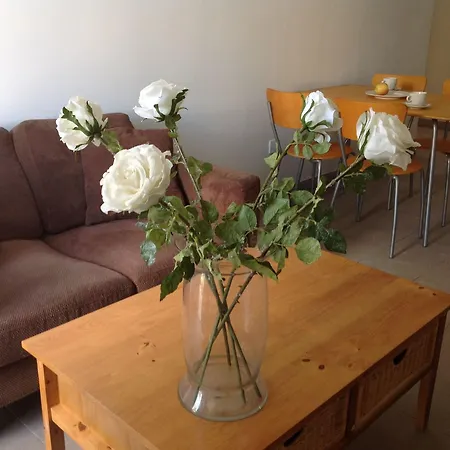 Alecos Aparthotel 3*